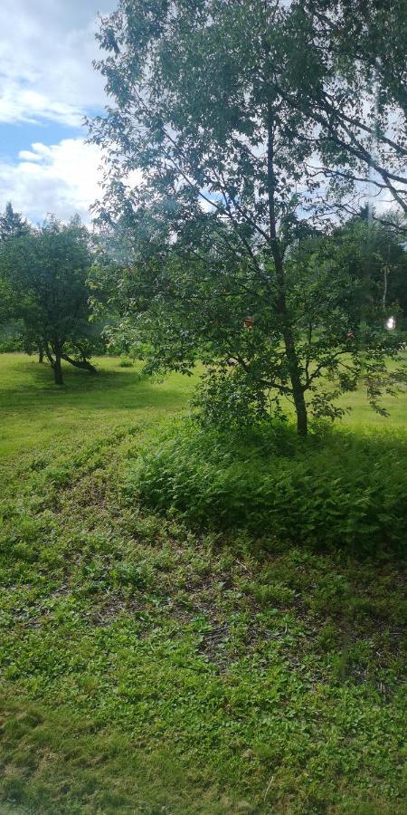 Vojakkala Vandrarhem Haparanda  Extérieur photo